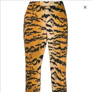 Essential Antwerp Tiger pant